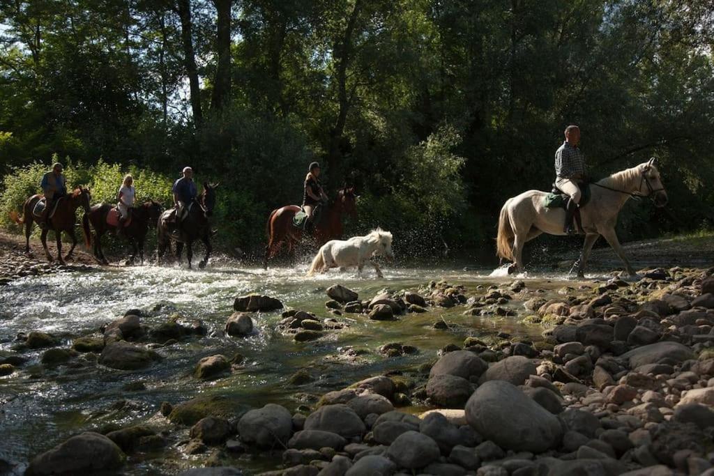 La Casella Antico Feudo Di Campagna Ficulle Bagian luar foto