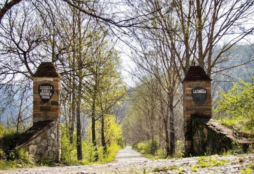 La Casella Antico Feudo Di Campagna Ficulle Bagian luar foto