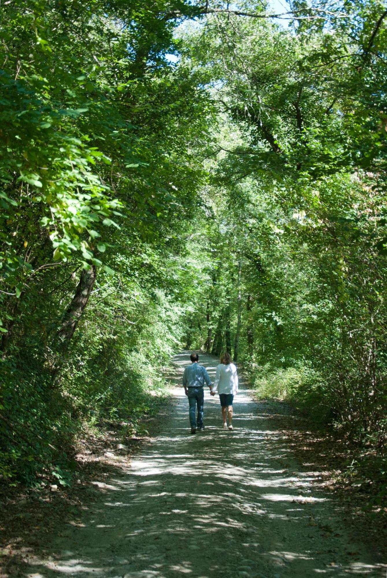 La Casella Antico Feudo Di Campagna Ficulle Bagian luar foto