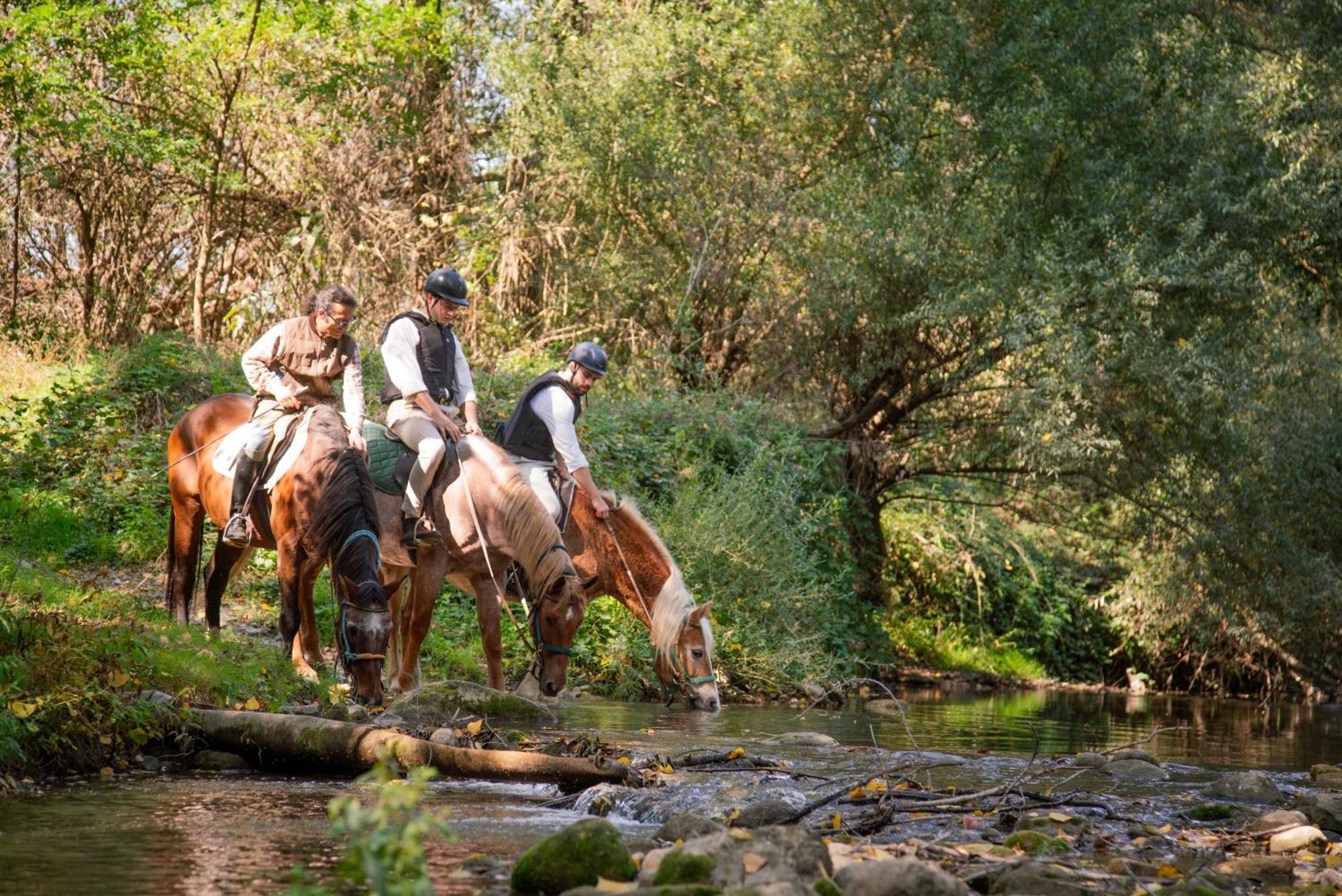 La Casella Antico Feudo Di Campagna Ficulle Bagian luar foto