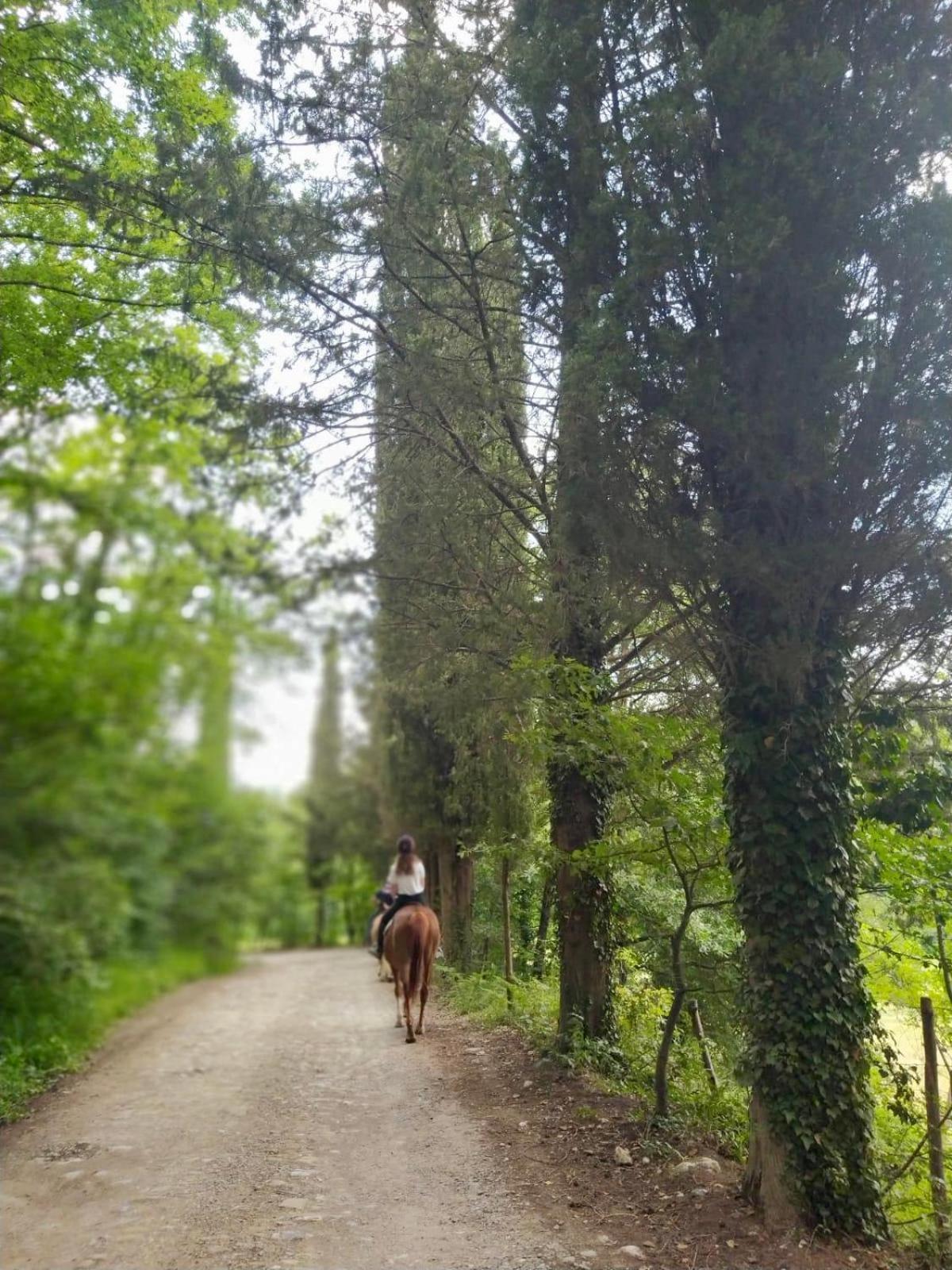 La Casella Antico Feudo Di Campagna Ficulle Bagian luar foto