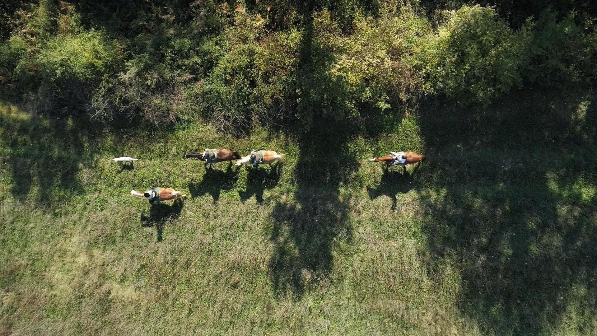 La Casella Antico Feudo Di Campagna Ficulle Bagian luar foto